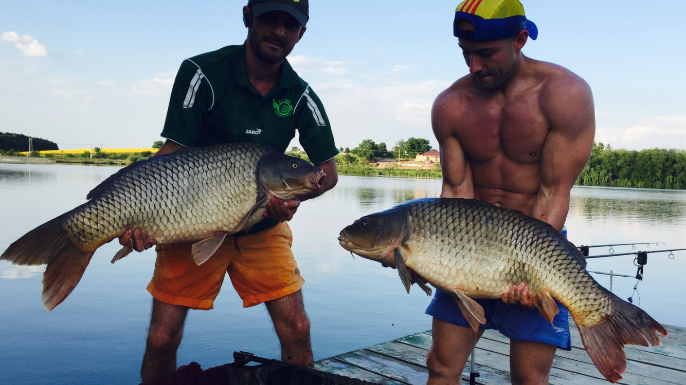 Moara Vlasiei 2 \ 1 - 2 iulie 2015 - img1834.PNG